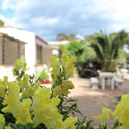 Residence Rendez Vous Vieste Bagian luar foto