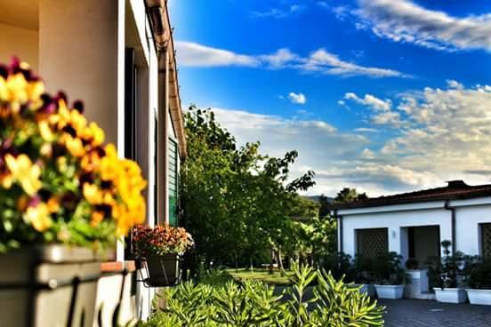 Residence Rendez Vous Vieste Bagian luar foto